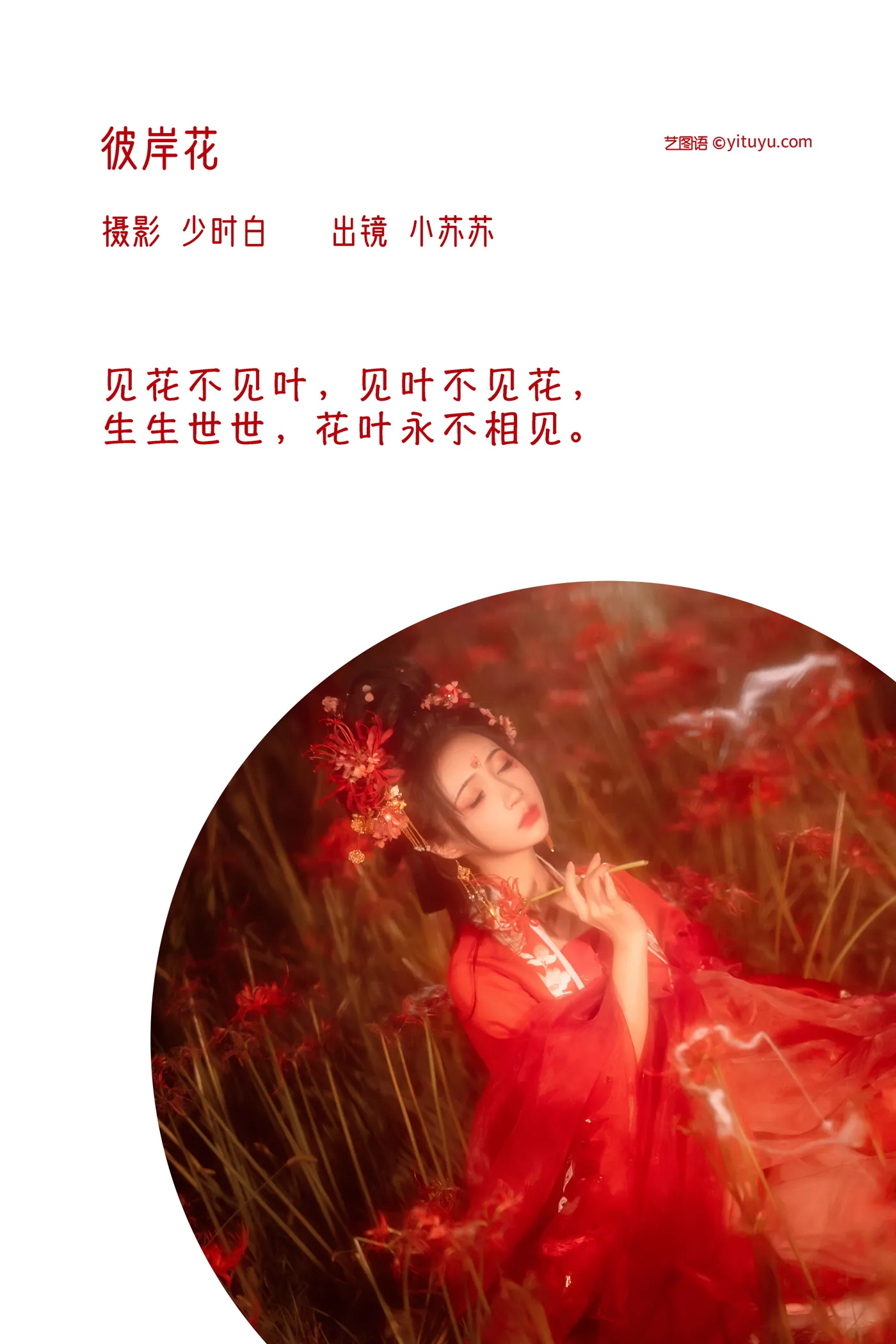 [YITUYU] 2022.12.07 Vol.2617 – Flower of the Other Side -Qiluosheng’s little Susu-#[32P]-2